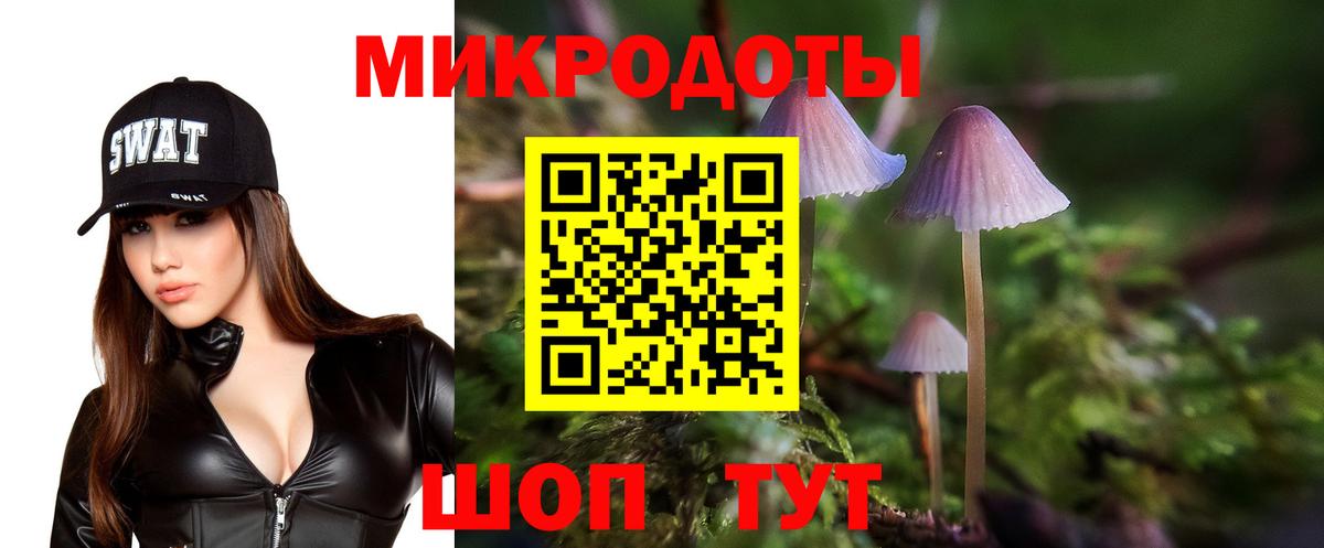 Галлюциногенные грибы GOLDEN TEACHER  Псилоцибиновые грибы GOLDEN TEACHER  Вход с VPN  Киселёвск 